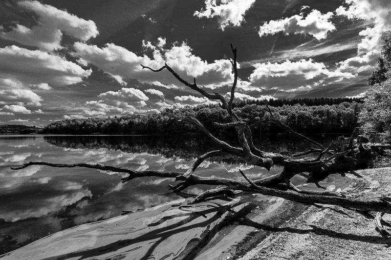 2017_09_23_Lac St Agnan (0060)b-w.jpg - Lac de Saint Agnan (Septembre 2017)
